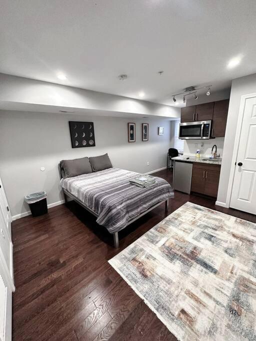 New Studio By University City